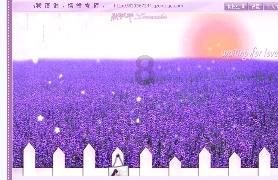 深圳曝内讧，沈梓捷与老板争吵！崔永熙或被交易，郭士强暴怒请辞