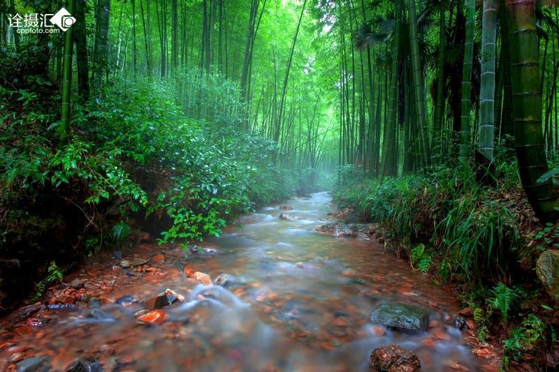 午评：三大指数早盘震荡调整 景点及旅游板块领涨