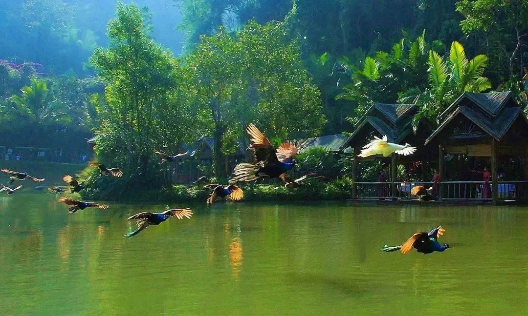 江苏交的医保省外异地就医怎么报销？游戏画面