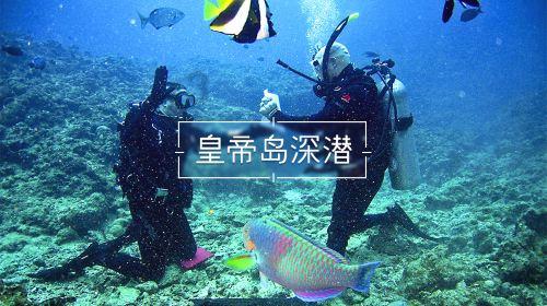 逃离违建房屋2