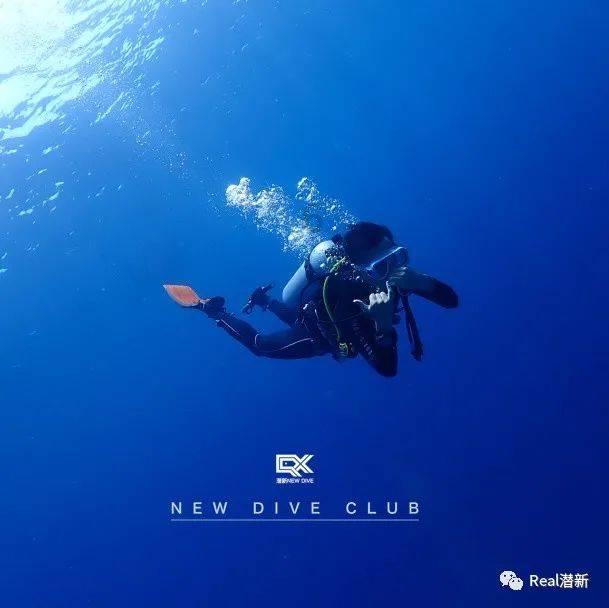 一文读全宫西达也20周年纪念版升级亮点!