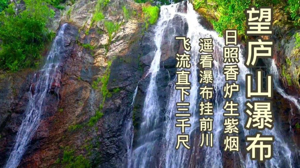 猎人的生存日记加强中文版