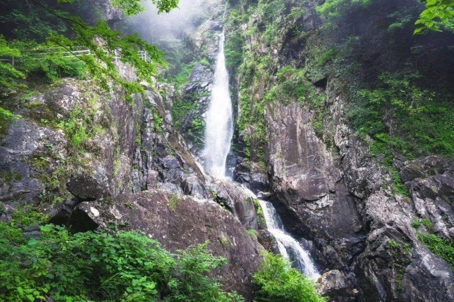 罗马诺：多队想签布莱斯维特，若西班牙人升级今夏可自由离队