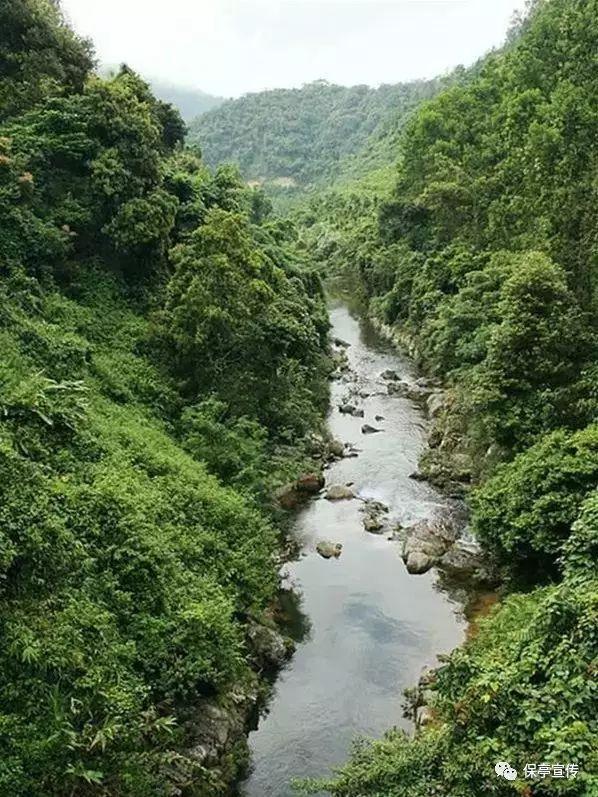 缤纷水果茶无敌版