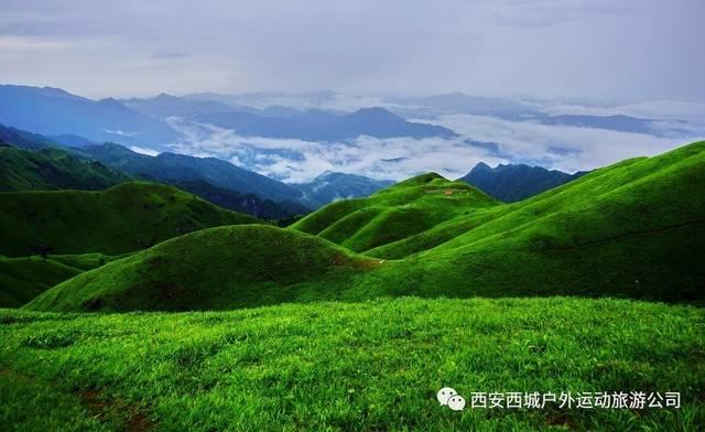 乌东危机目前已经成为全球关注的焦点，造成乌东危机的原因是什么？