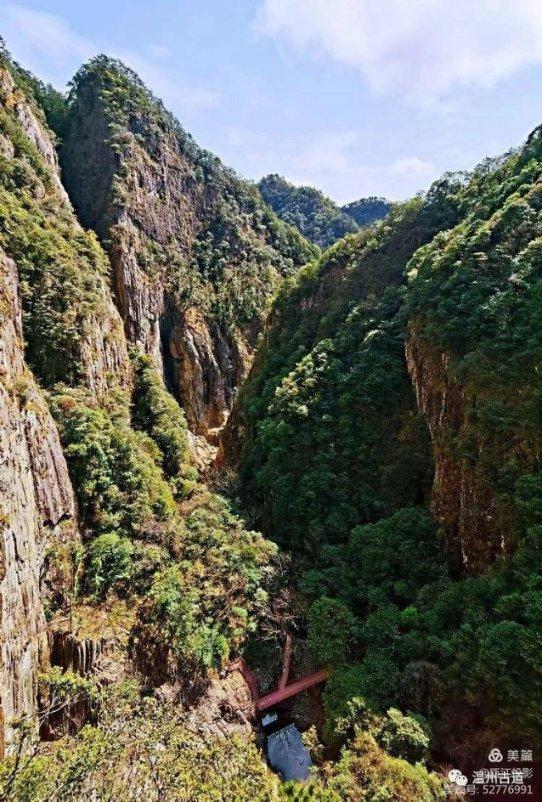 你觉得复读是占用教育资源吗？游戏画面